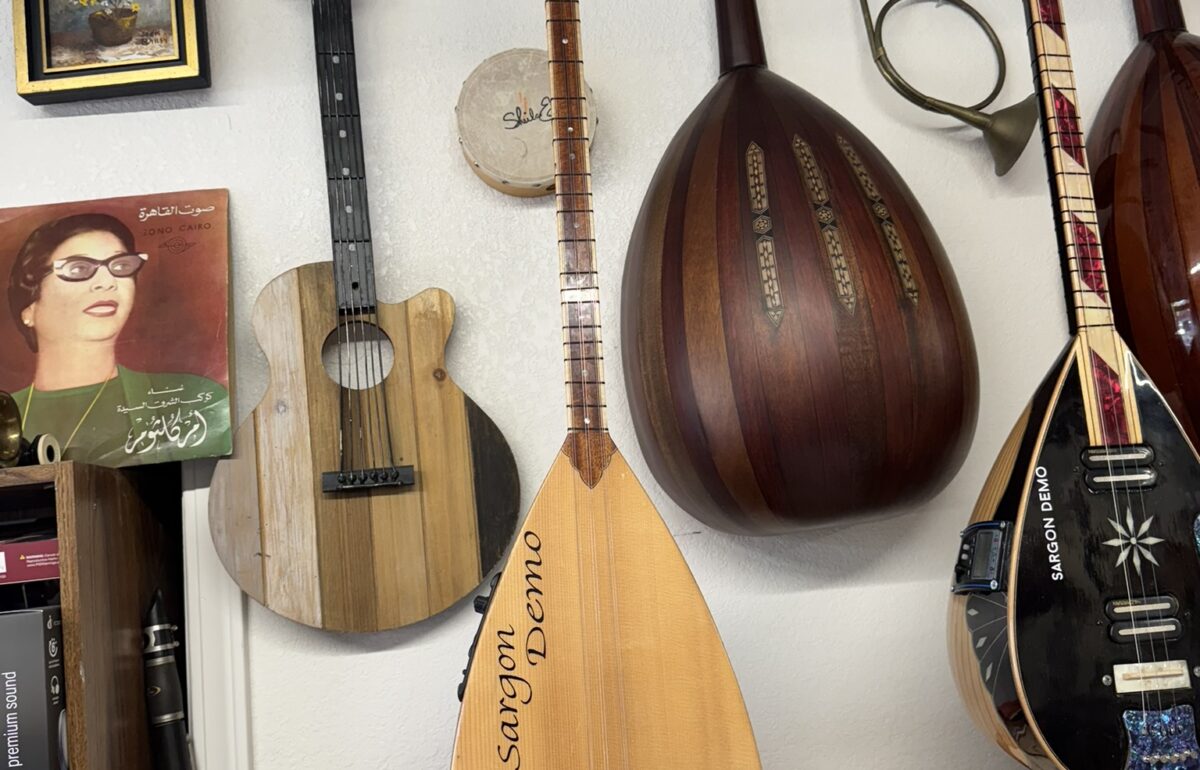 Tanbura instruments