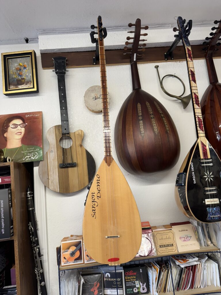 Tanbura instruments